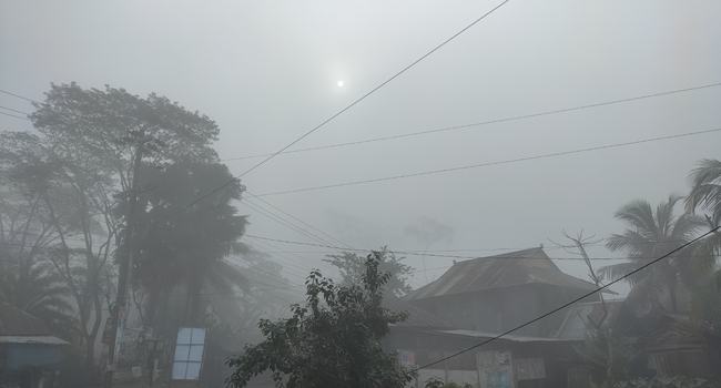বেতাগীতে ঘনকুয়াশার আড়ালে সূর্য