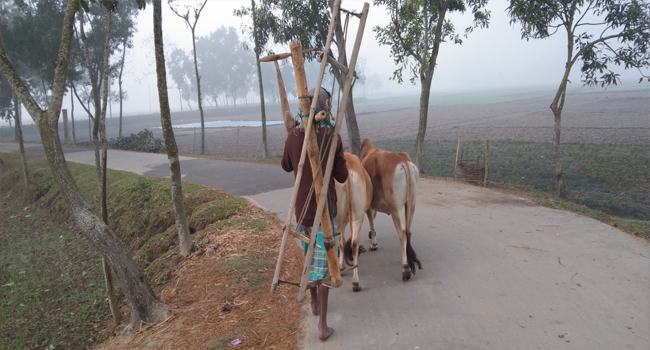 তিন দিন ধরে দেবীগঞ্জে প্রচণ্ড শীত
