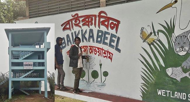 সংস্কারে বদলে গেছে শ্রীমঙ্গলের বাইক্কা বিল