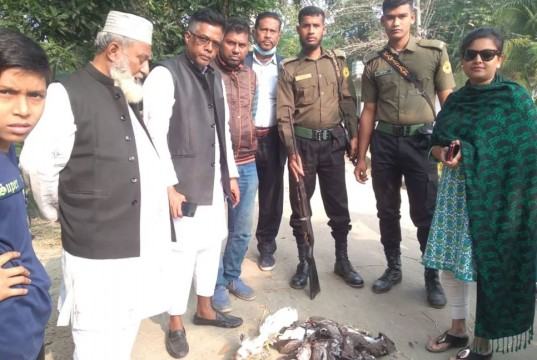 বাবুগঞ্জে পাখি শিকার করায় এক ব্যক্তির কারাদণ্ড