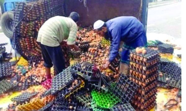 রাজবাড়ীতে ট্রাক উল্টে ৩৬ হাজার ডিমের সর্বনাশ