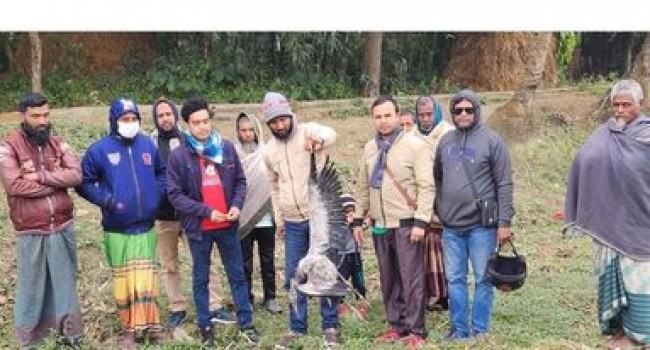 পাখি শিকারের তথ্য দিলেই উপহার