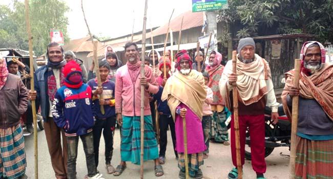 ঘাটাইলে কুকুরের কামড়ে হাসপাতালে ৩৭ জন