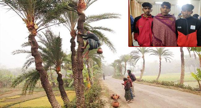 চুয়াডাঙ্গায় খেজুরে রস খেতে গিয়ে গণপিটুনির শিকার ৩ কিশোর