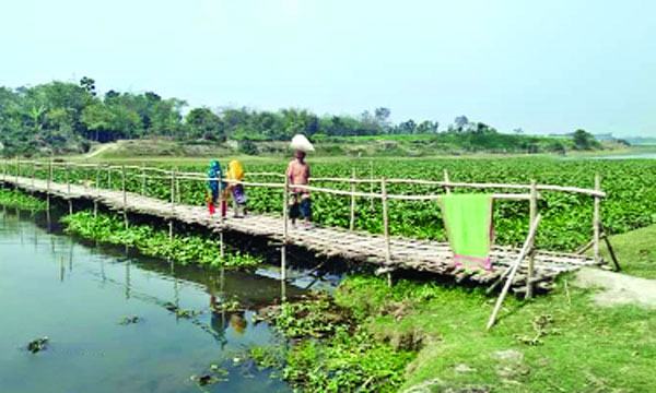 নড়বড়ে সাঁকোই ১৫ গ্রামের মানুষের ভরসা