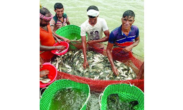 বাড়ির পাশের পুকুর দিয়ে শুরু আজ কোটি টাকার খামার