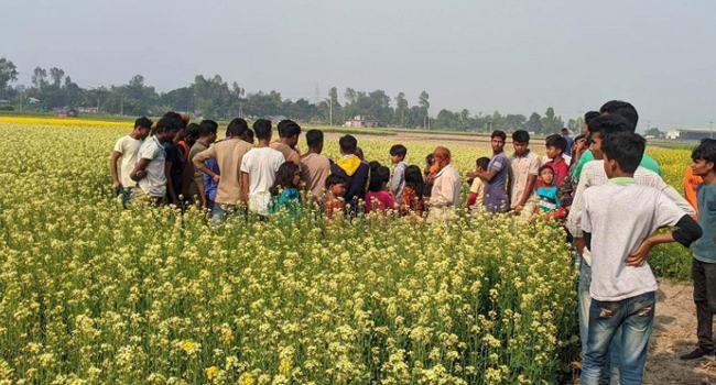 নন্দীগ্রামে সরিষার জমি থেকে নারীর লাশ উদ্ধার