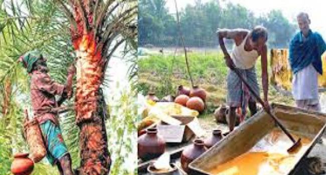 চৌগাছায় খেজুর গুড়ের মেলা ১৬ ও ১৭ জানুয়ারি