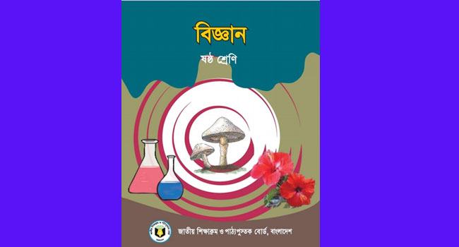 ৬ষ্ঠ শ্রেণীর বইয়ে যৌনতার সুড়সুড়ি
