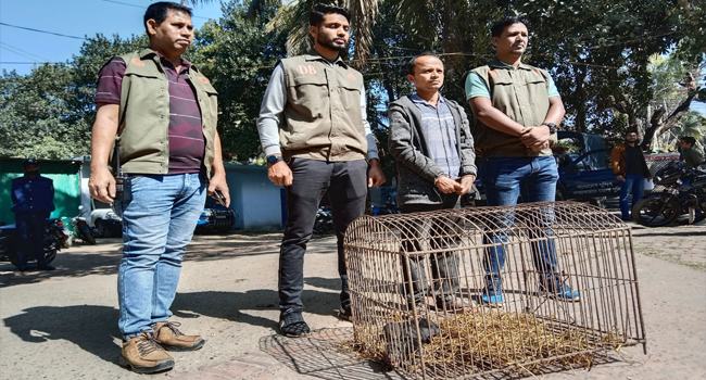কক্সবাজারে বিপন্ন প্রজাতির ভাল্লুক শাবকসহ পাচারকারী আটক
