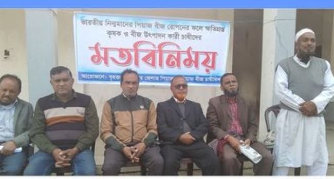 ভারত থেকে বীজ আমদানিতে ক্ষতিগ্রস্ত দেশের পেঁয়াজচাষিরা