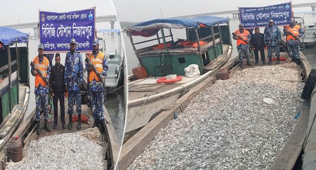 কুয়াকাটায় কোস্ট গার্ডের অভিযানে ৫০ মণ ইলিশের রেণু জব্দ