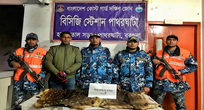 পাথরঘাটায় ২ হরিণের চামড়া জব্দ