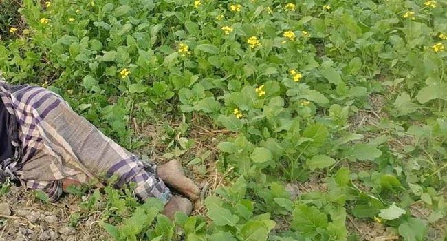 চরফ্যাশনে সরিষা ক্ষেত থেকে বৃদ্ধের লাশ উদ্ধার