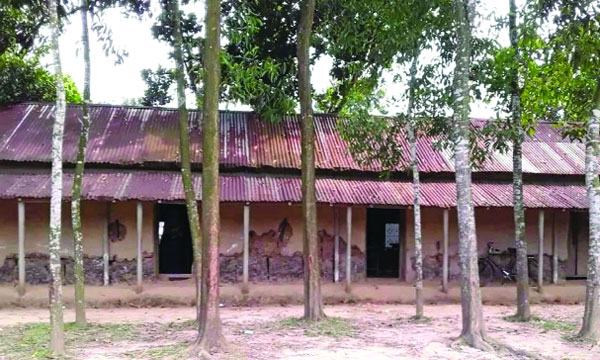 সখীপুরে ৪৮ বছর ধরে মাটির ঘরেই পাঠদান!