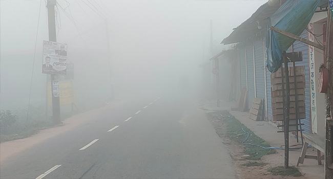 ঘন কুয়াশার চাদরে আবৃত বেতাগী