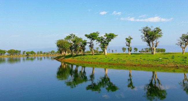 ৩ দশকে হাওরে জলাভূমি কমেছে ৮৭ ভাগ