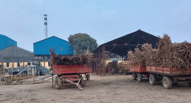 আখের অভাবে দর্শনা কেরু চিনিকলে মাড়াই বন্ধ