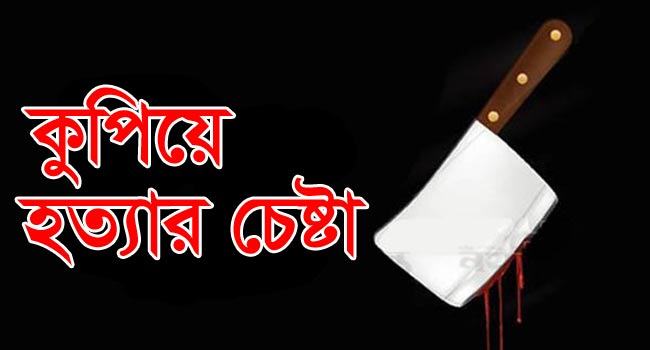 ঝগড়া থামাতে আসা প্রতিবেশীকে কুপি‌য়ে হত‌্যার চেষ্টা