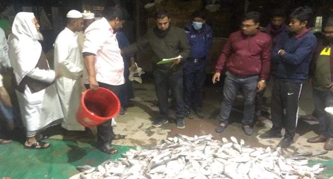 নোয়াখালীতে ১০ মণ জাটকা ইলিশ জব্দ