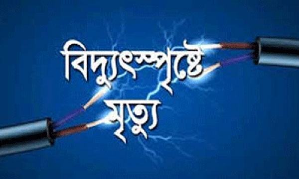 বাবাকে সহযোগিতা করতে গিয়ে স্কুলছাত্রের মৃত্যু