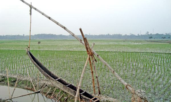 দোন বিলুপ্তপ্রায় এক কৃষি ঐতিহ্য