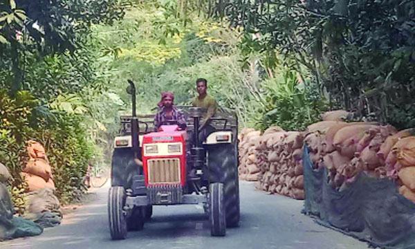দশমিনায় সড়ক দখল করে ধানের ব্যবসা