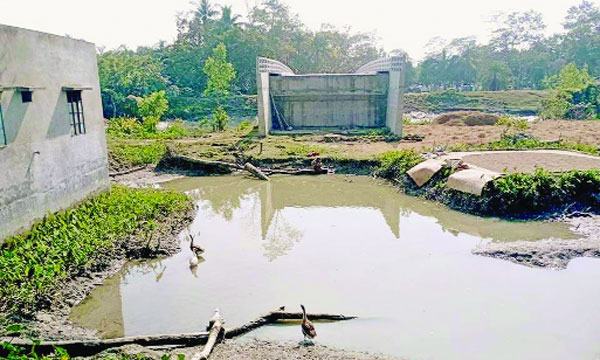 দশমিনায় সড়কবিহীন সেতু