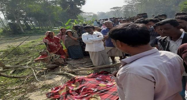 মিরসরাইয়ে পিকআপ চাপায় দিনমজুর নিহত