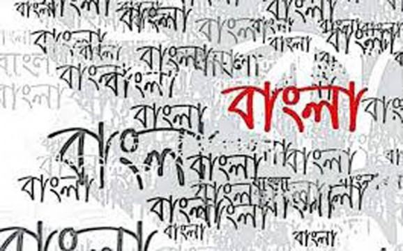 সর্বক্ষেত্রে বাংলা ভাষা ও সংবিধান অবমাননা
