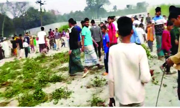 রূপগঞ্জে ফসলি জমি দখলের পাঁয়তারা : সবজি ও ফলের গাছ কর্তন