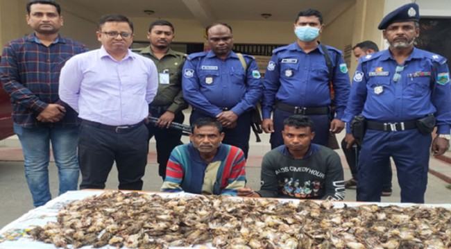 পাখি শিকার করায় রাজশাহীতে বাবা-ছেলের এক বছরের কারাদণ্ড
