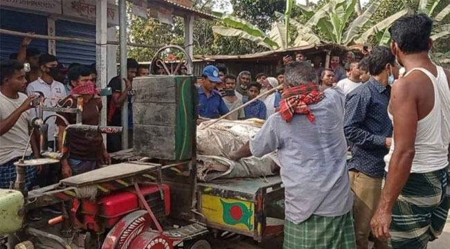 সুড়ঙ্গ খুড়ে চাচার দোকানে চুরি করতে গিয়ে যুবকের মৃত্যু