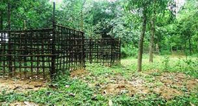 করবস্থানে মিলল নিখোঁজ ব্যক্তির কঙ্কাল