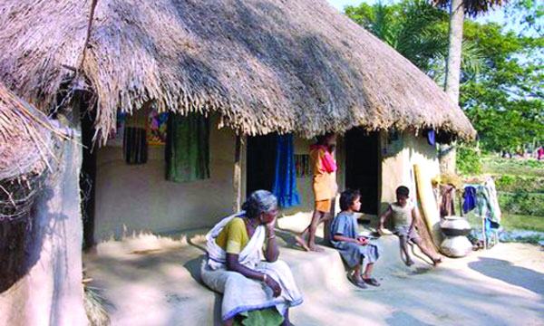 সুন্দরবন উপকূলে চিংড়িচাষের লবণ পানিতে কৃষির সর্বনাশ