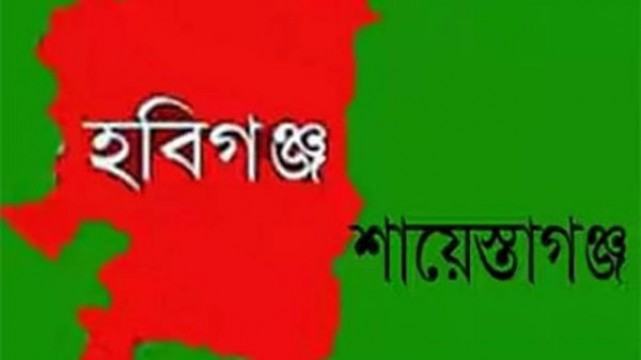শায়েস্তাগঞ্জ ব্যবসায়ী কল্যাণ সমিতির নির্বাচন ৪ মার্চ