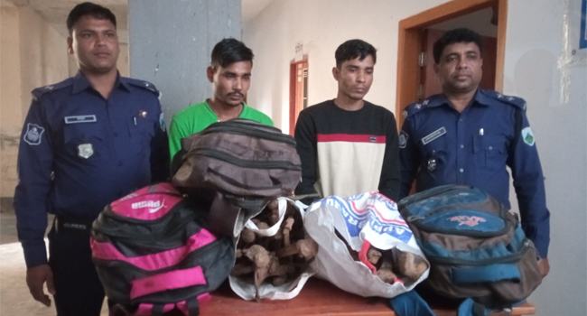 শেরপুরে মানব কঙ্কালসহ গ্রেফতার ২