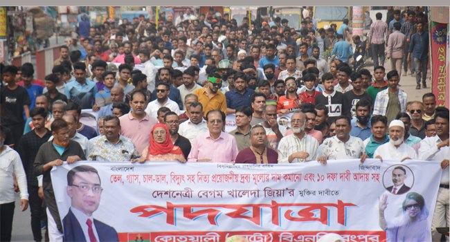 বিদেশীদের মাধ্যমে বিএনপিকে নির্বাচনে আনার চেষ্টা করছে সরকার : দুলু