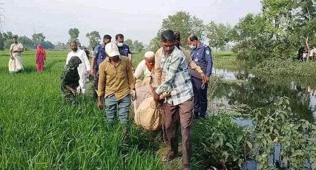 ঈদগাঁওতে গৃহবধূর লাশ উদ্ধার