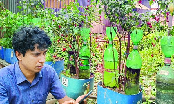 গাছে ইচ্ছে মতো ফুল-ফল ধরাতে  সক্ষম আমিনুলের উদ্ভাবিত প্রযুক্তি