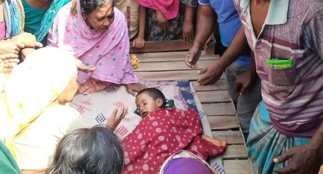 জীবননগরে পাওয়ারটিলারের ধাক্কায় ৩ বছরের শিশু নিহত