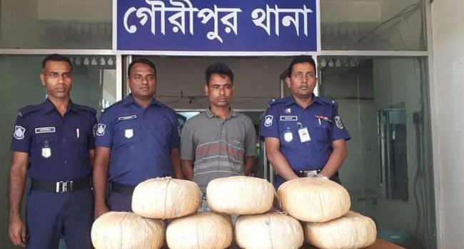 গৌরীপুরে ২১‌ কে‌জি গাঁজাসহ মাদক কারবারি গ্রেফতার