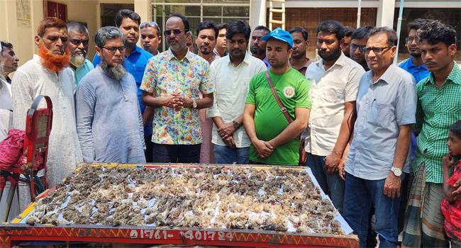 চলনবিলের আড়াই শতাধিক জবাই করা পাখি উদ্ধার