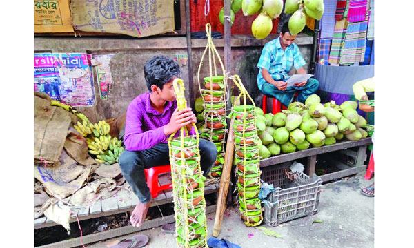 মিরসরাইয়ের কদর বেড়েছে মহিষের দইয়ের