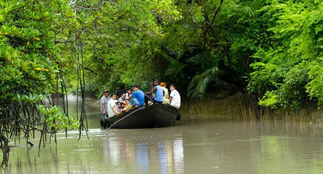 সুন্দরবনে প্লাস্টিক ব্যবহার নিষিদ্ধ
