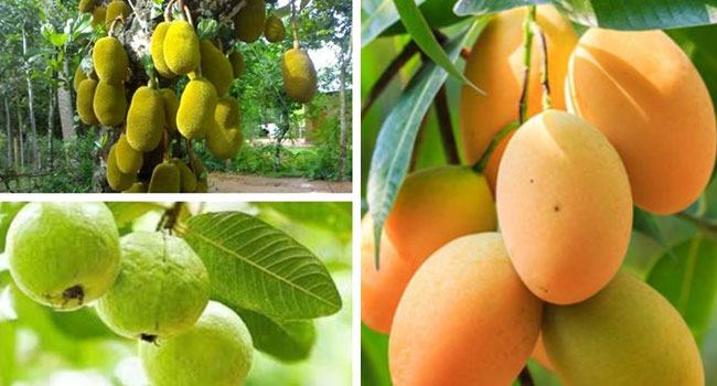 নির্ধারিত মেয়াদে শেষ না হওয়ায় তিন গুণ ব্যয়