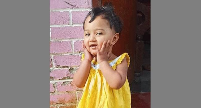শিবচরে সাপের কামড়ে দেড় বছরের শিশুর মৃত্যু