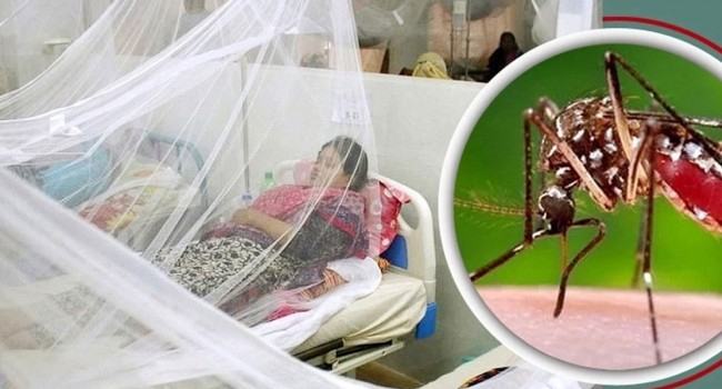 দেশে আরো ৪ জন ডেঙ্গু আক্রান্ত