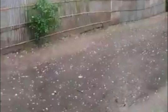 ফুলবাড়ীতে শিলাবৃষ্টি : ইরি-বোরোর ব্যাপক ক্ষতি