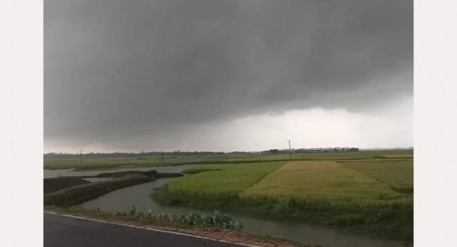হাওরে ধান কাটতে গিয়ে বজ্রপাতে কিশোর নিহত